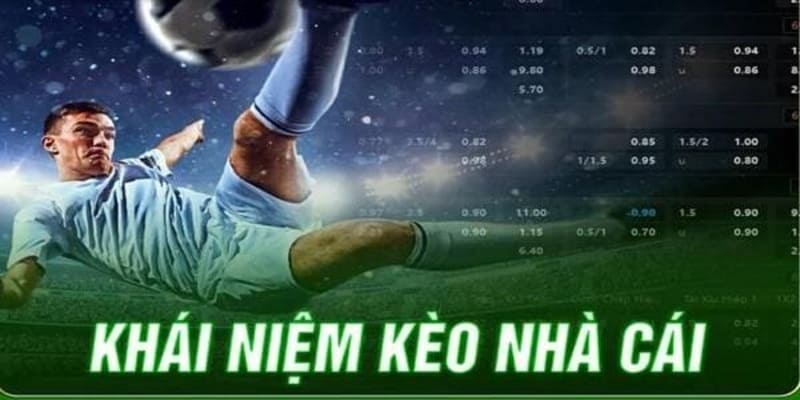 soi kèo nhà cái vn88 soi kèo nhà cái vn88